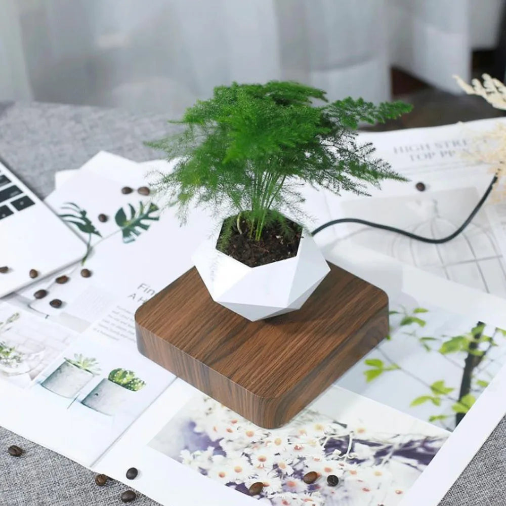 Levitating Air Bonsai Pot Rotation Flower Pot Planters Magnetic Suspension Floating Pot Potted Plant Home Without Plants